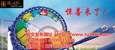 廣告服務(wù)與軟件開發(fā) 一站式解決方案的市場機(jī)遇